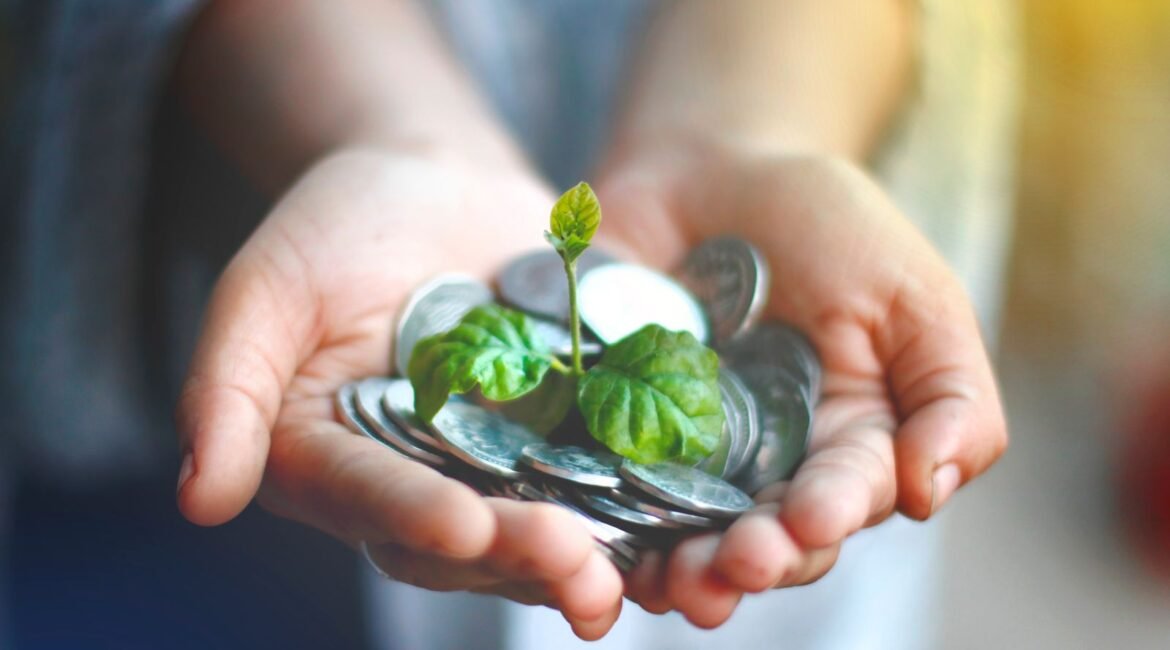 Mãos segurando moedas com uma pequena planta brotando, simbolizando lucro com crescimento sustentável
